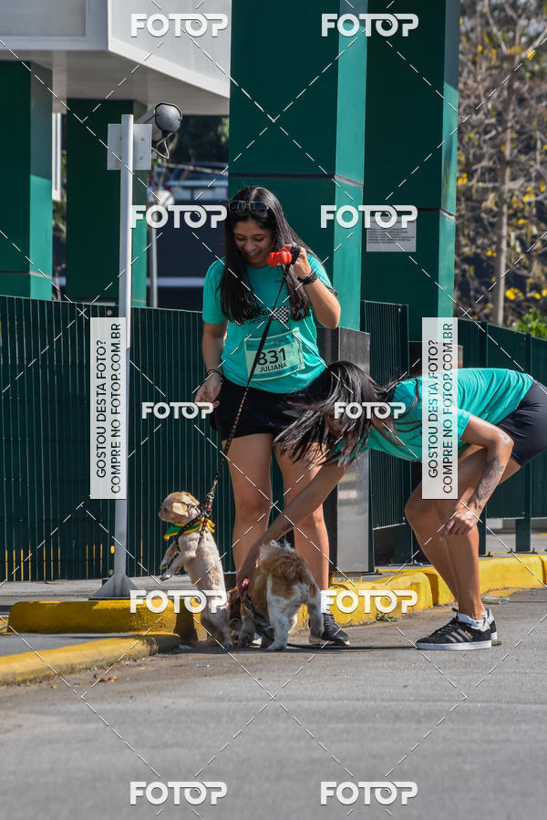 Buy your photos of the event2� Pet Run Shopping Eldorado  on Fotop