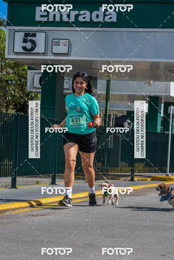 Buy your photos of the event2� Pet Run Shopping Eldorado  on Fotop