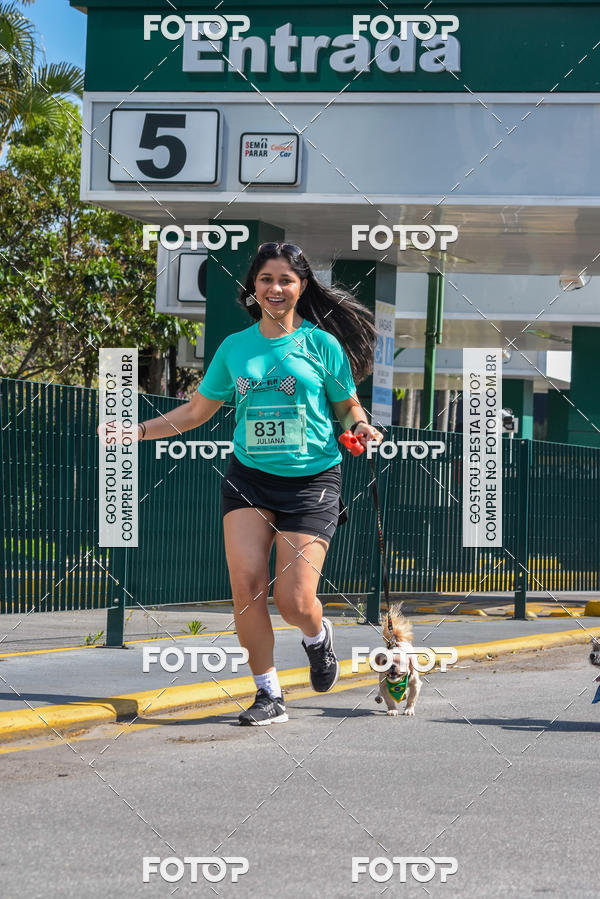 Buy your photos of the event2� Pet Run Shopping Eldorado  on Fotop