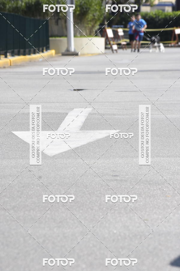 Buy your photos of the event2� Pet Run Shopping Eldorado  on Fotop