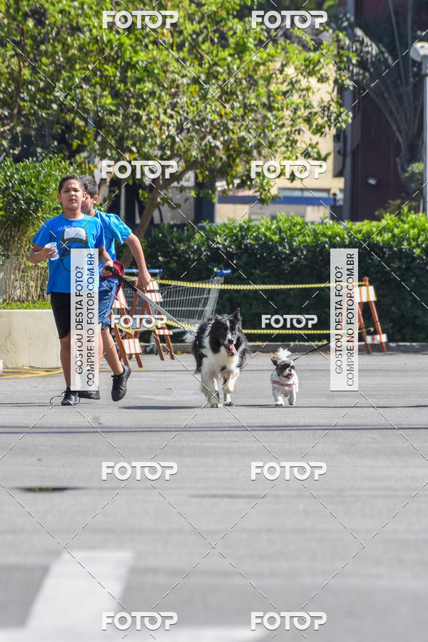 Buy your photos of the event2� Pet Run Shopping Eldorado  on Fotop