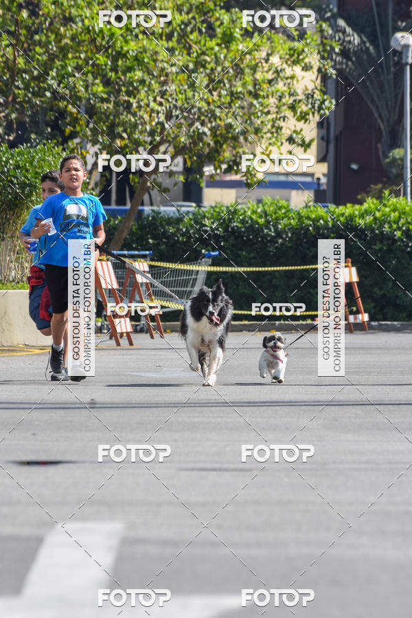 Buy your photos of the event2� Pet Run Shopping Eldorado  on Fotop