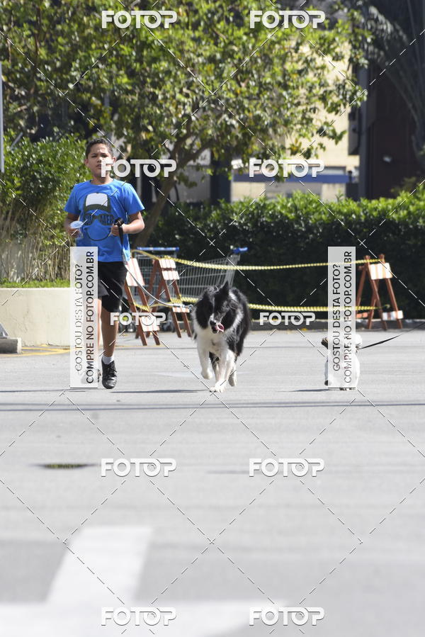 Buy your photos of the event2� Pet Run Shopping Eldorado  on Fotop