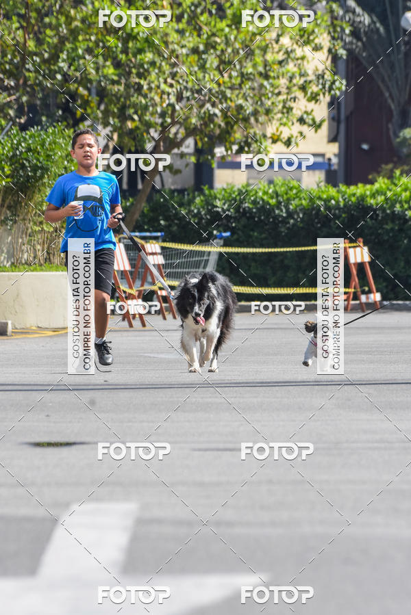 Buy your photos of the event2� Pet Run Shopping Eldorado  on Fotop