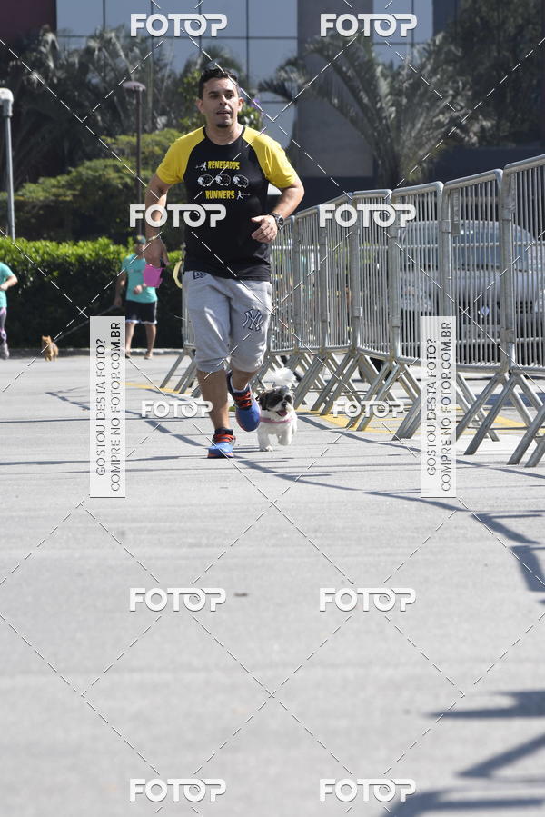 Buy your photos of the event2� Pet Run Shopping Eldorado  on Fotop