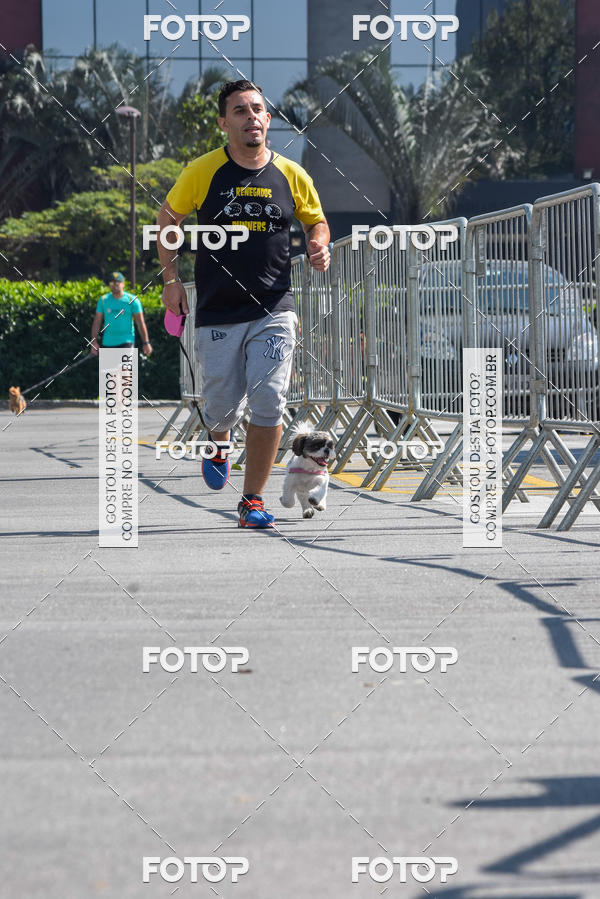 Buy your photos of the event2� Pet Run Shopping Eldorado  on Fotop