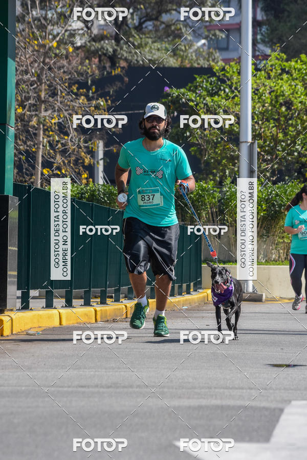 Buy your photos of the event2� Pet Run Shopping Eldorado  on Fotop