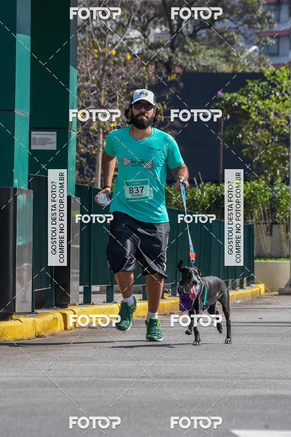 Buy your photos of the event2� Pet Run Shopping Eldorado  on Fotop