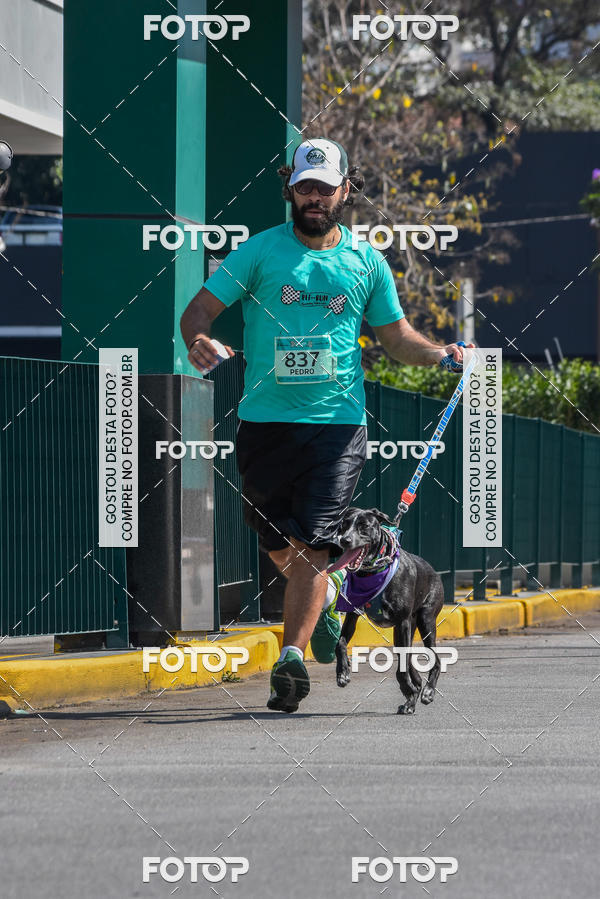 Buy your photos of the event2� Pet Run Shopping Eldorado  on Fotop