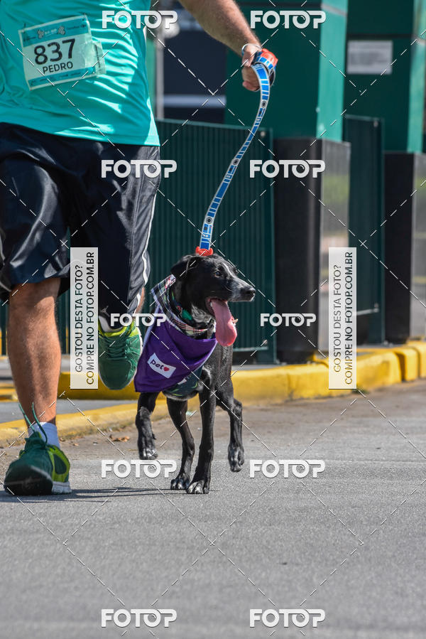 Buy your photos of the event2� Pet Run Shopping Eldorado  on Fotop