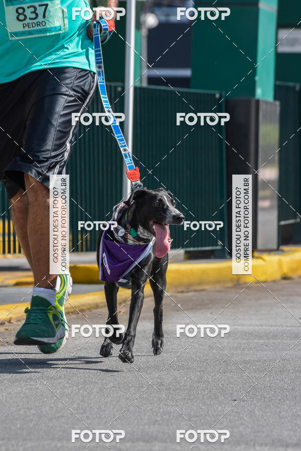 Buy your photos of the event2� Pet Run Shopping Eldorado  on Fotop