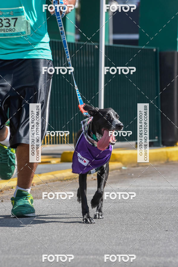 Buy your photos of the event2� Pet Run Shopping Eldorado  on Fotop