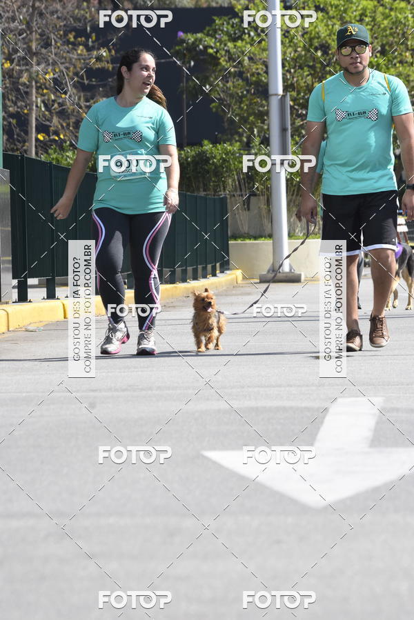 Buy your photos of the event2� Pet Run Shopping Eldorado  on Fotop