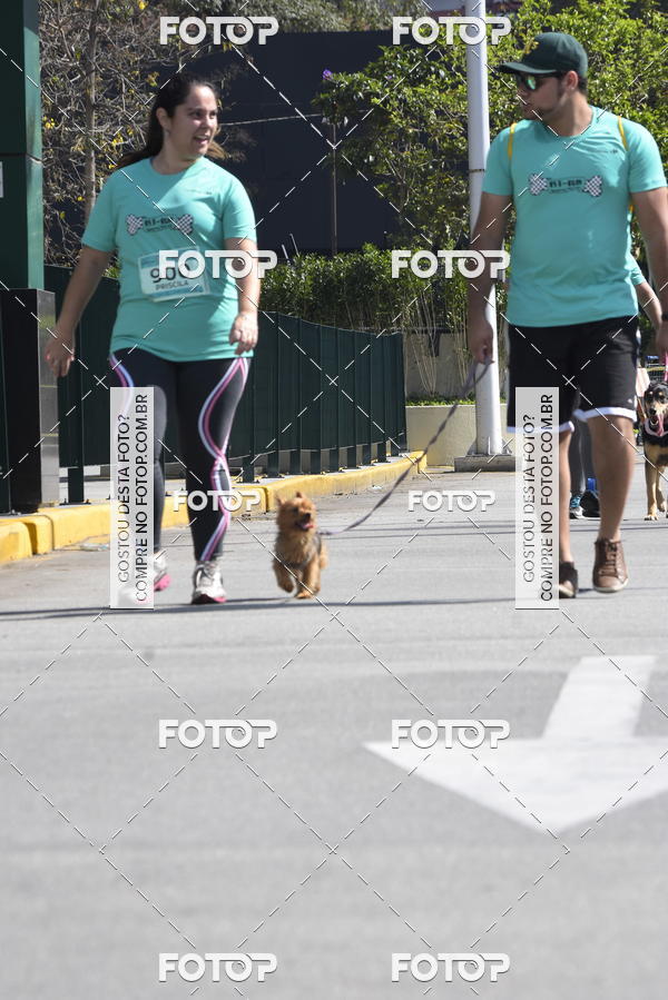 Buy your photos of the event2� Pet Run Shopping Eldorado  on Fotop