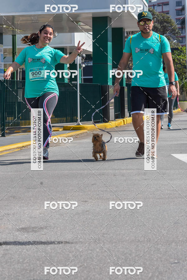 Buy your photos of the event2� Pet Run Shopping Eldorado  on Fotop