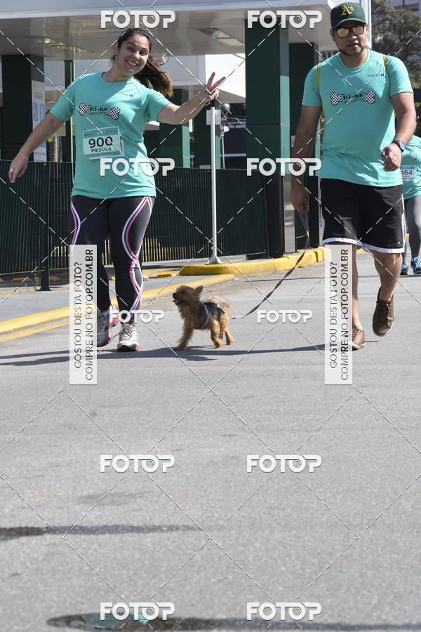 Buy your photos of the event2� Pet Run Shopping Eldorado  on Fotop