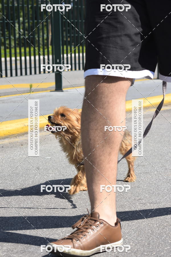 Buy your photos of the event2� Pet Run Shopping Eldorado  on Fotop