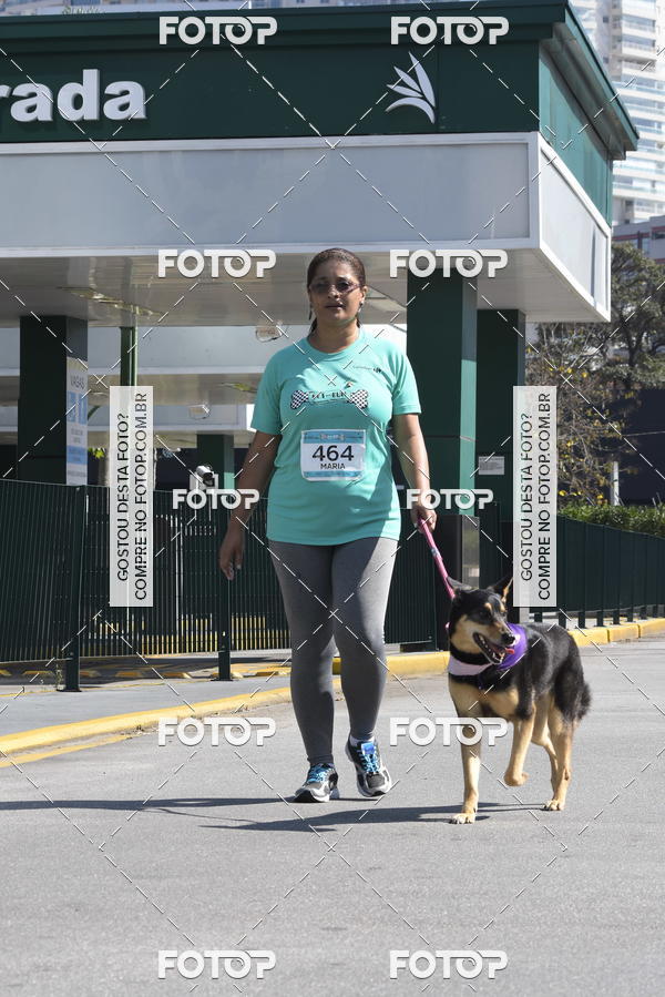 Buy your photos of the event2� Pet Run Shopping Eldorado  on Fotop