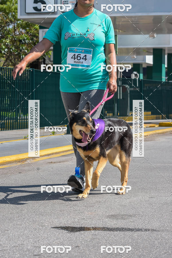 Buy your photos of the event2� Pet Run Shopping Eldorado  on Fotop