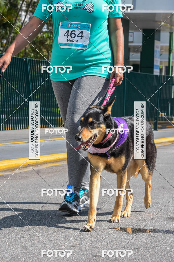Buy your photos of the event2� Pet Run Shopping Eldorado  on Fotop