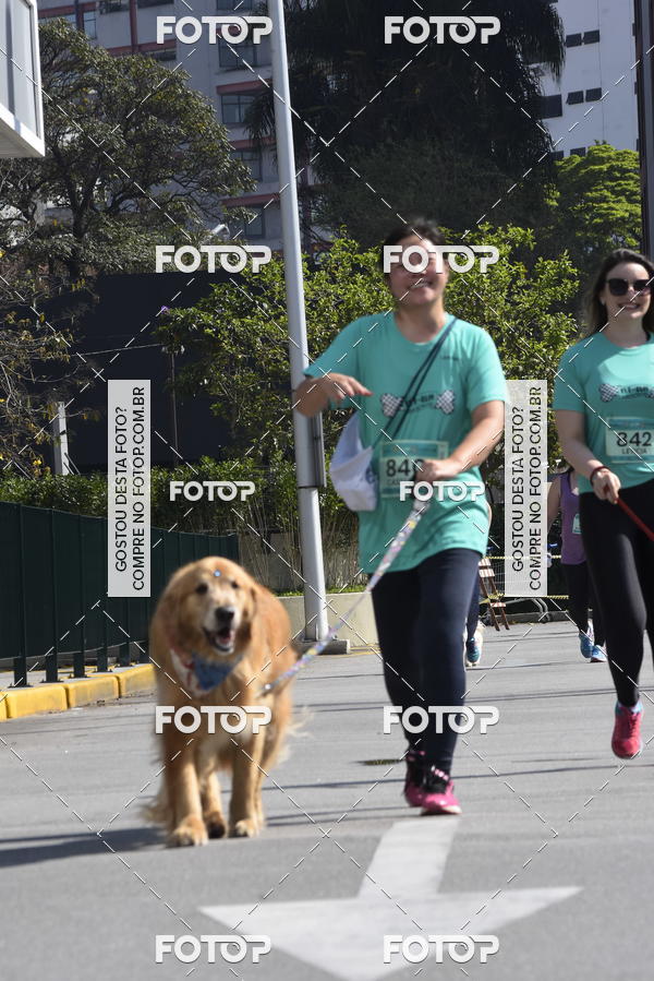 Buy your photos of the event2� Pet Run Shopping Eldorado  on Fotop
