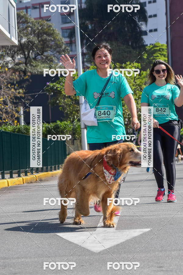 Buy your photos of the event2� Pet Run Shopping Eldorado  on Fotop