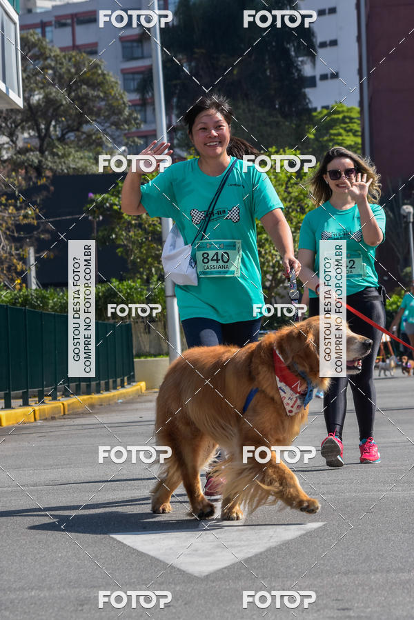 Buy your photos of the event2� Pet Run Shopping Eldorado  on Fotop