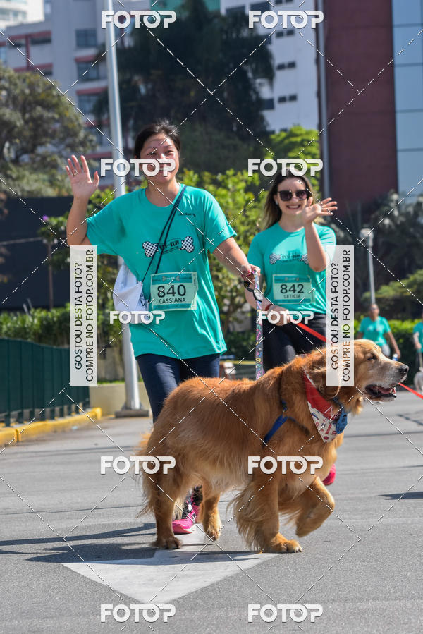 Buy your photos of the event2� Pet Run Shopping Eldorado  on Fotop