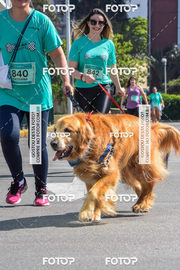 Buy your photos of the event2� Pet Run Shopping Eldorado  on Fotop