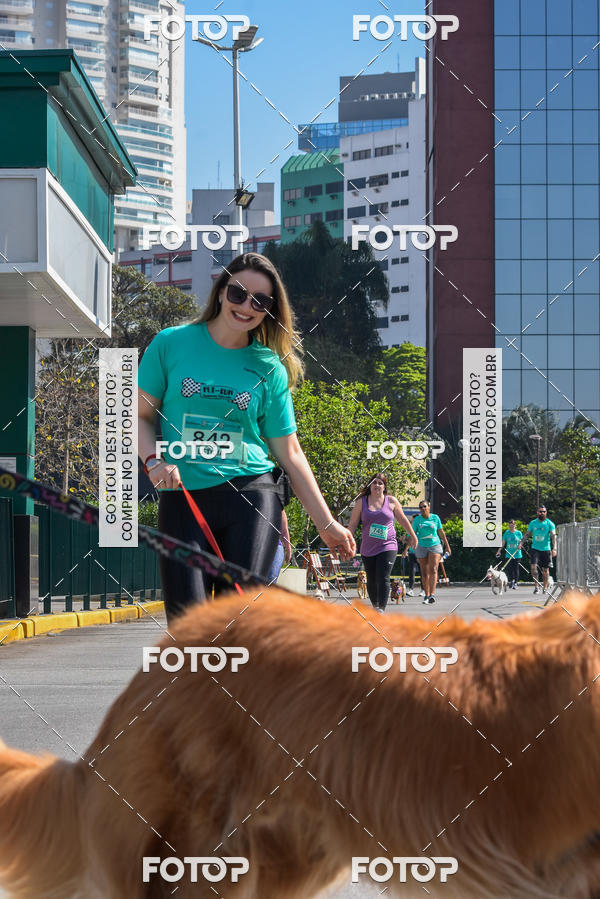 Buy your photos of the event2� Pet Run Shopping Eldorado  on Fotop