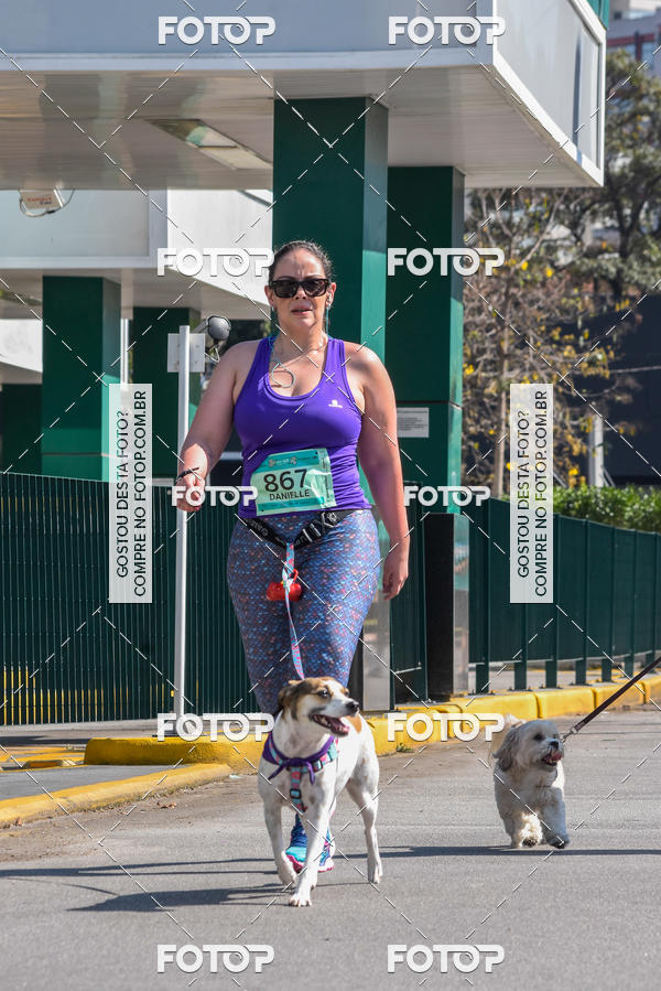 Buy your photos of the event2� Pet Run Shopping Eldorado  on Fotop