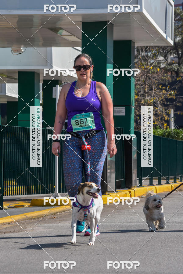 Buy your photos of the event2� Pet Run Shopping Eldorado  on Fotop