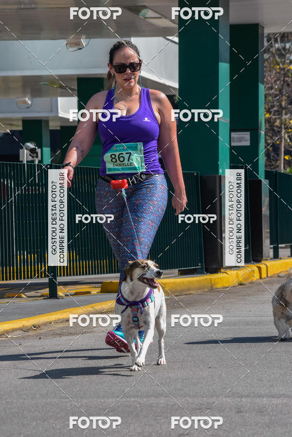 Buy your photos of the event2� Pet Run Shopping Eldorado  on Fotop
