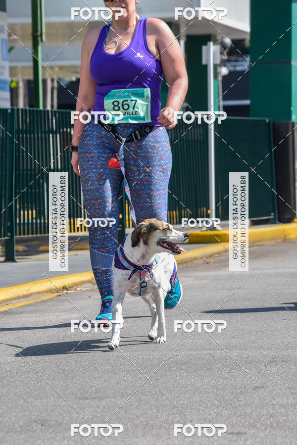 Buy your photos of the event2� Pet Run Shopping Eldorado  on Fotop