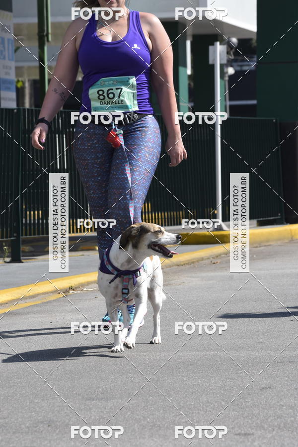 Buy your photos of the event2� Pet Run Shopping Eldorado  on Fotop