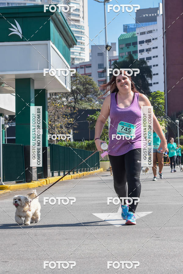 Buy your photos of the event2� Pet Run Shopping Eldorado  on Fotop