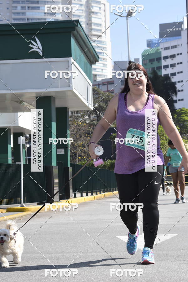 Buy your photos of the event2� Pet Run Shopping Eldorado  on Fotop