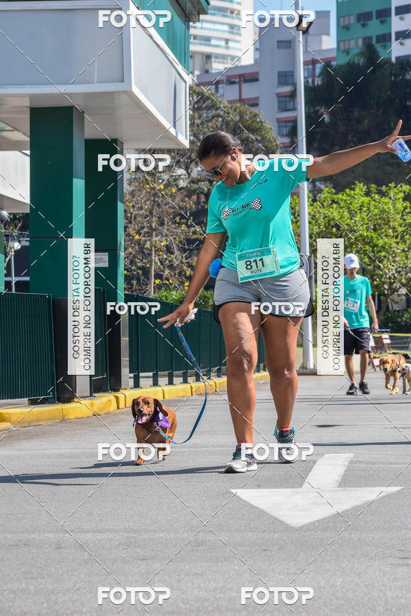 Buy your photos of the event2� Pet Run Shopping Eldorado  on Fotop