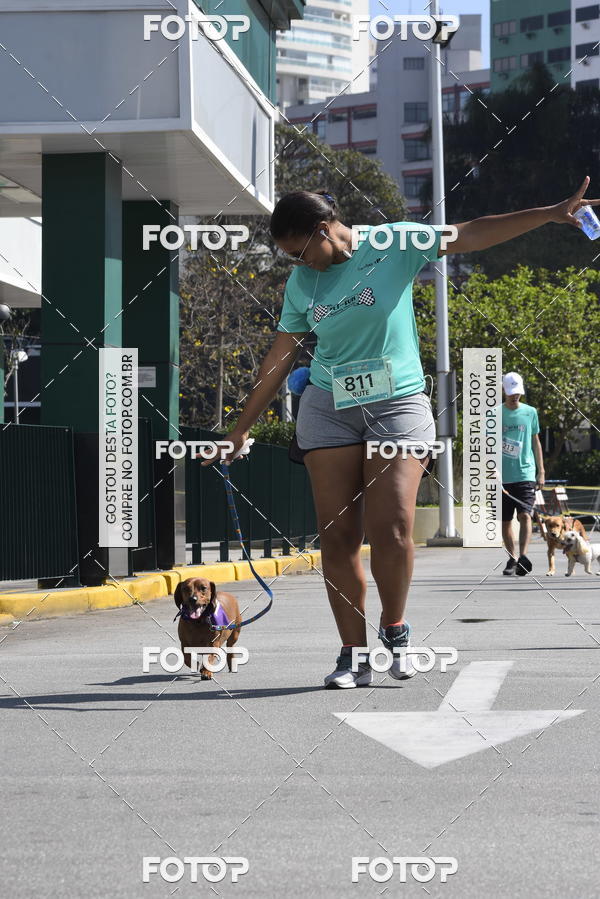 Buy your photos of the event2� Pet Run Shopping Eldorado  on Fotop