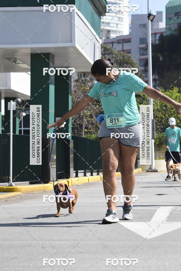 Buy your photos of the event2� Pet Run Shopping Eldorado  on Fotop