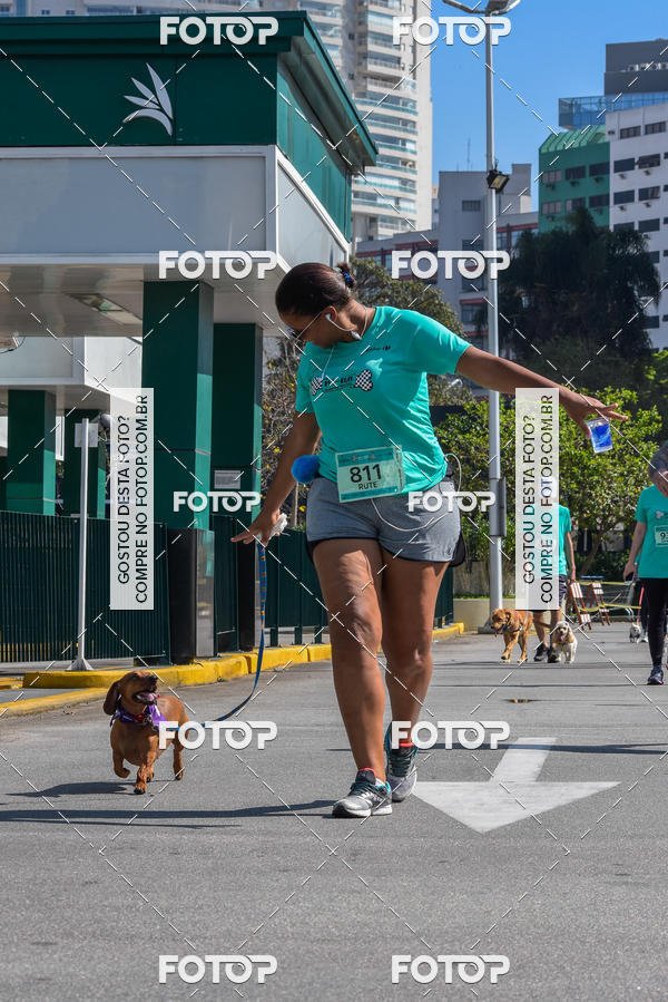 Buy your photos of the event2� Pet Run Shopping Eldorado  on Fotop