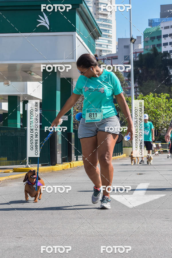 Buy your photos of the event2� Pet Run Shopping Eldorado  on Fotop