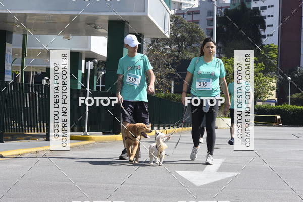 Buy your photos of the event2� Pet Run Shopping Eldorado  on Fotop