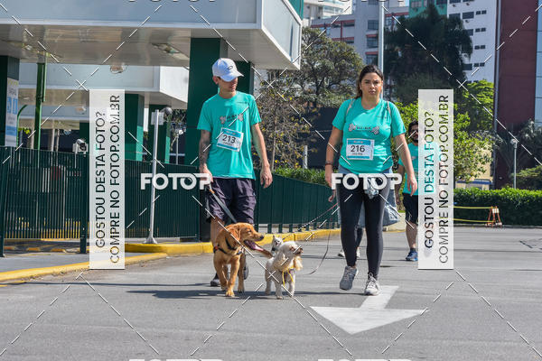 Buy your photos of the event2� Pet Run Shopping Eldorado  on Fotop