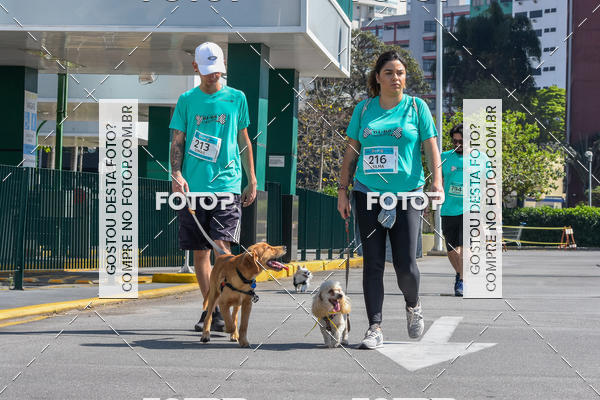Buy your photos of the event2� Pet Run Shopping Eldorado  on Fotop