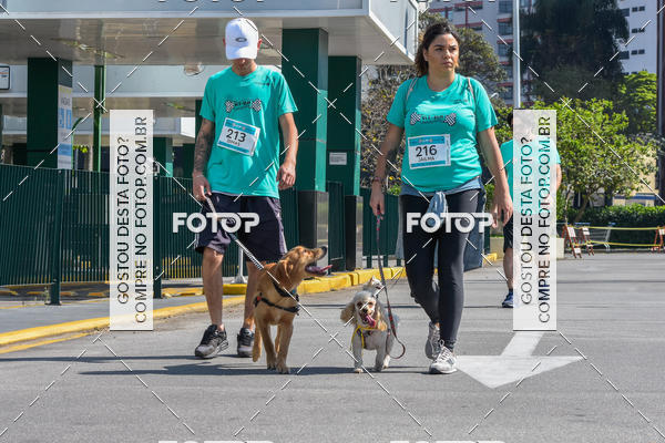 Buy your photos of the event2� Pet Run Shopping Eldorado  on Fotop