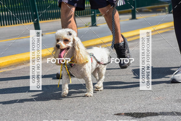 Buy your photos of the event2� Pet Run Shopping Eldorado  on Fotop