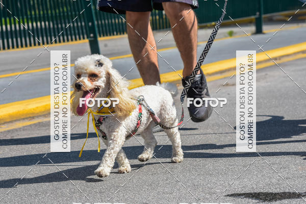 Buy your photos of the event2� Pet Run Shopping Eldorado  on Fotop