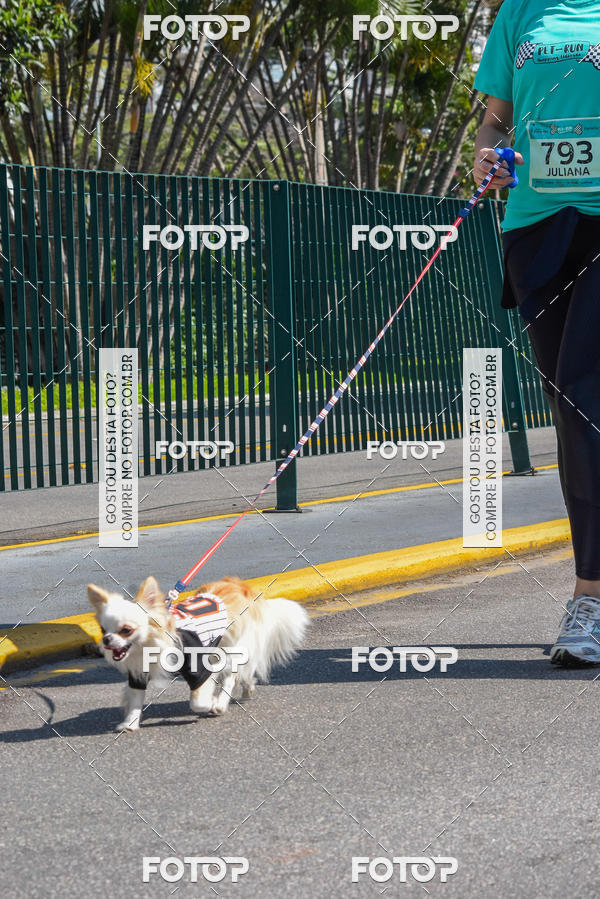 Buy your photos of the event2� Pet Run Shopping Eldorado  on Fotop