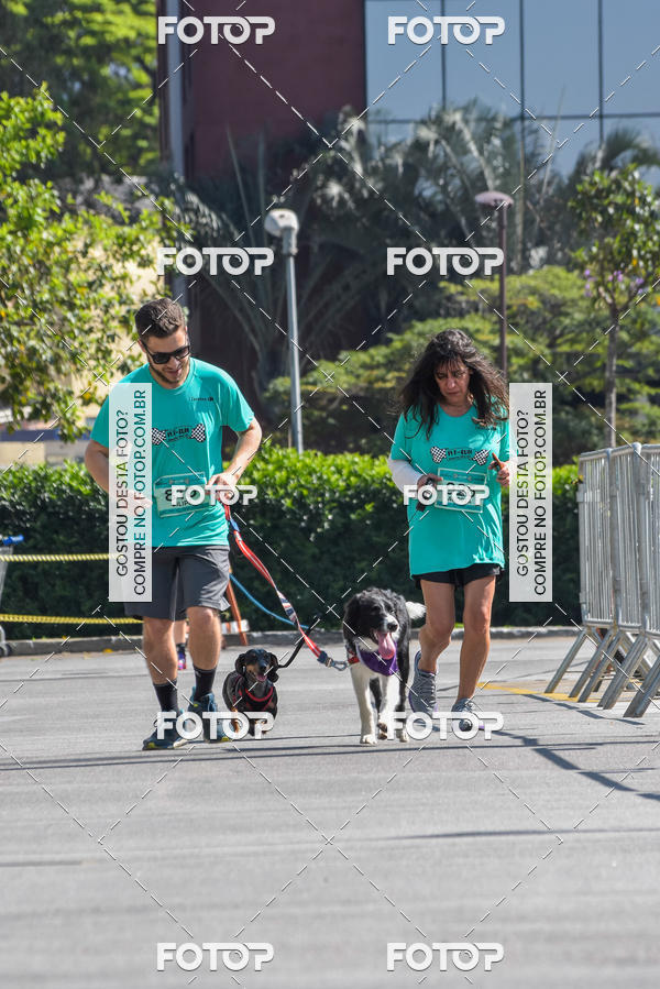 Buy your photos of the event2� Pet Run Shopping Eldorado  on Fotop